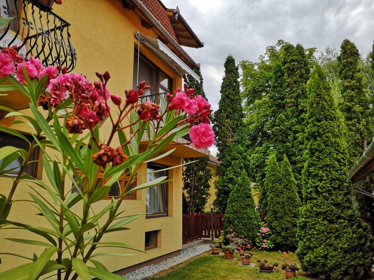 Bed and Breakfast Julia Panzio Хайдусобосло Экстерьер фото